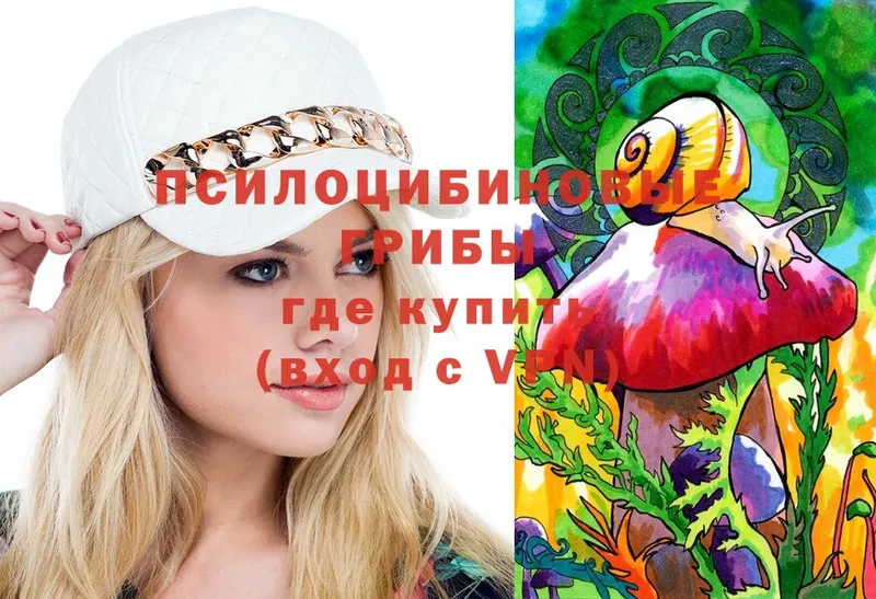 Псилоцибиновые грибы Psilocybine cubensis  купить   Ужур 